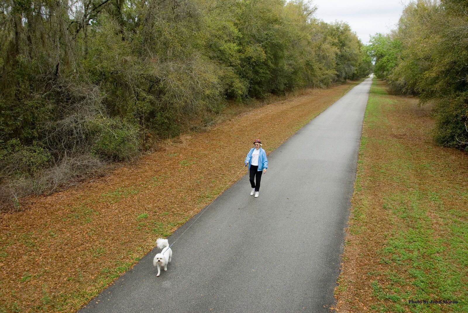 Dog walker on trail. Photo by FL Office of Greenways.