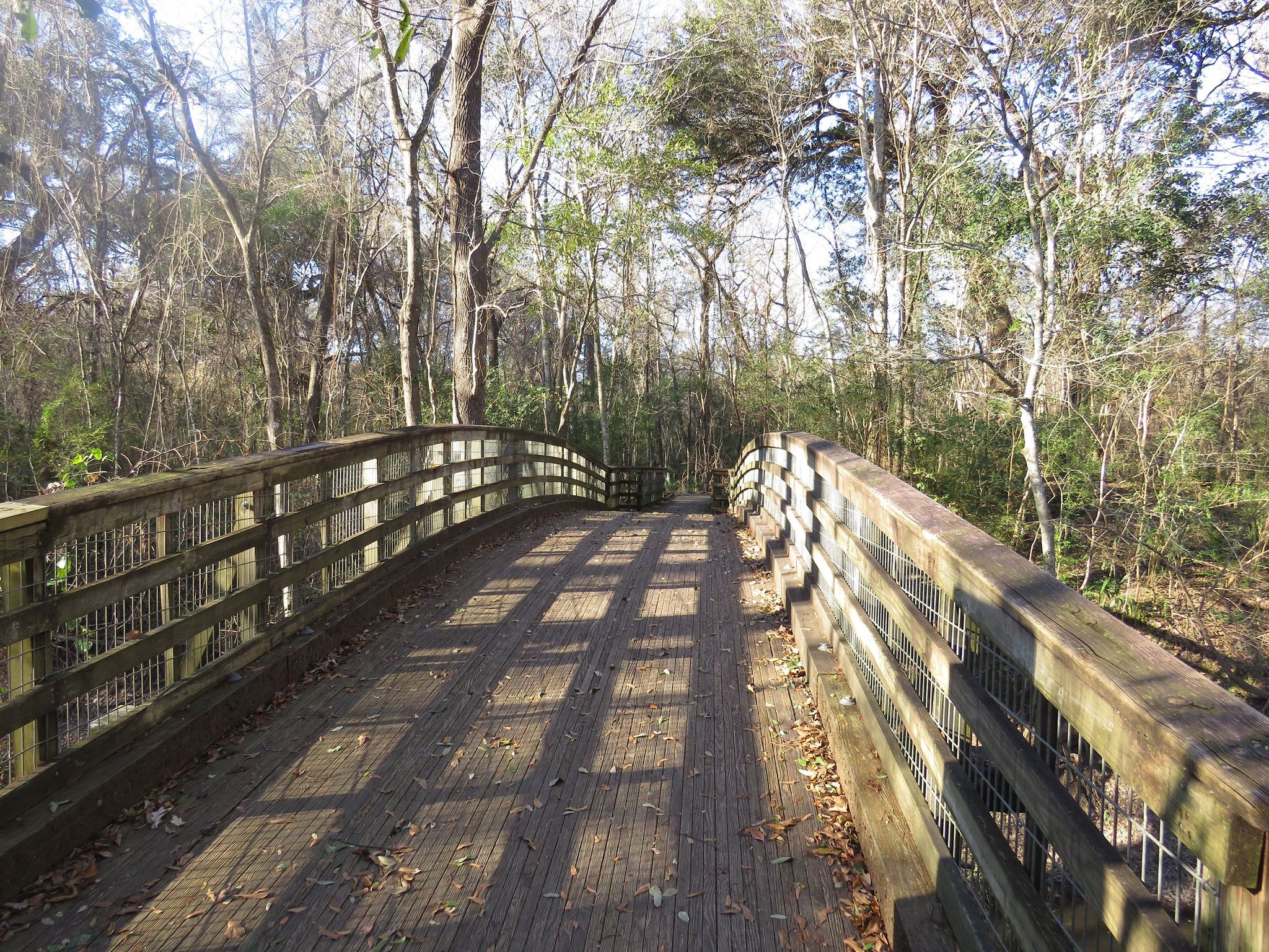 Boardwalk Bridge. Photo by Stephanie Mabou.