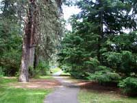 Camp Caro pathway