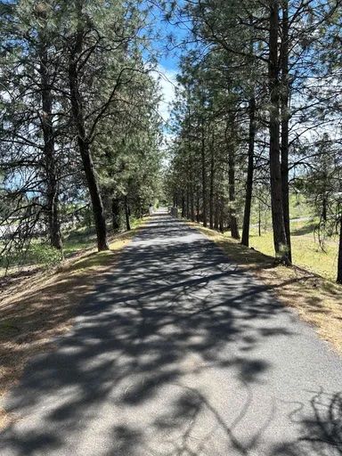 Paved path through evergreen trees on the Fish Lake Trail