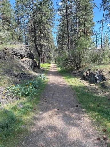 Natural surface trail along volcanic rock on the Trolley Trail