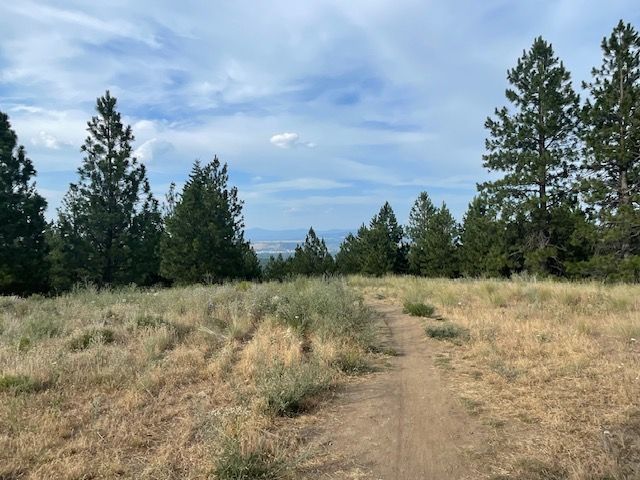 View looking north from the top of the Glenrose trail