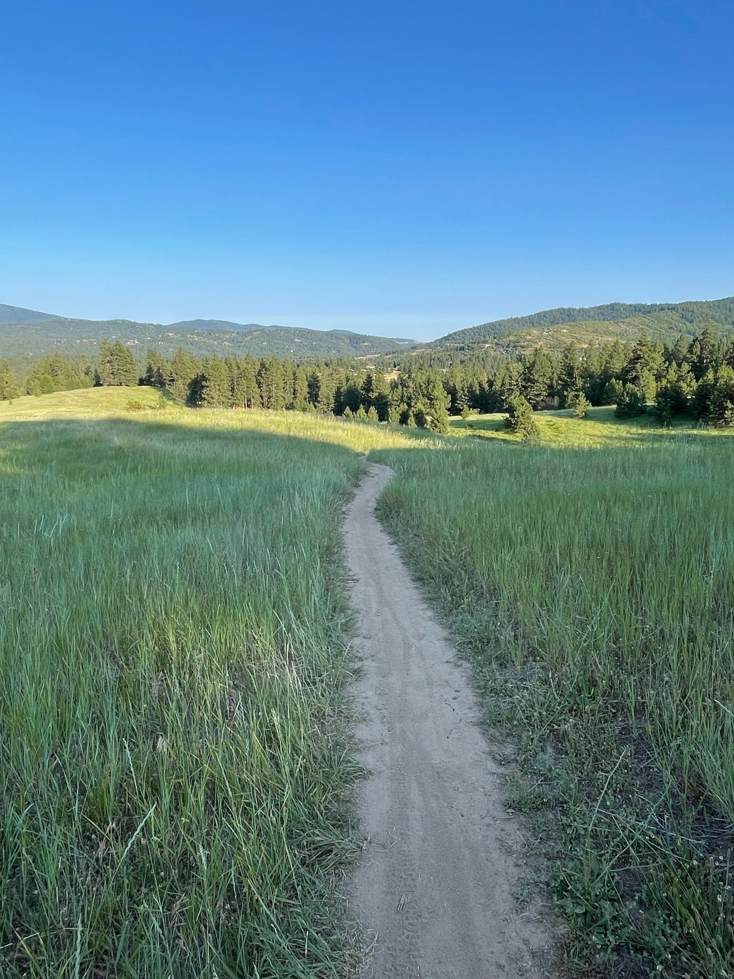 Rolling grasslands on the Flying L Trail