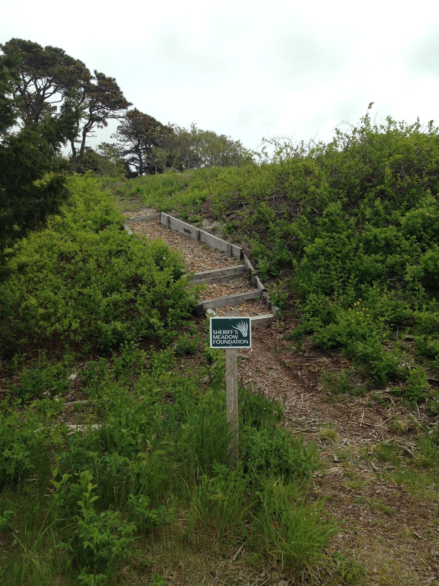 stairs up from Manaca Hill Road