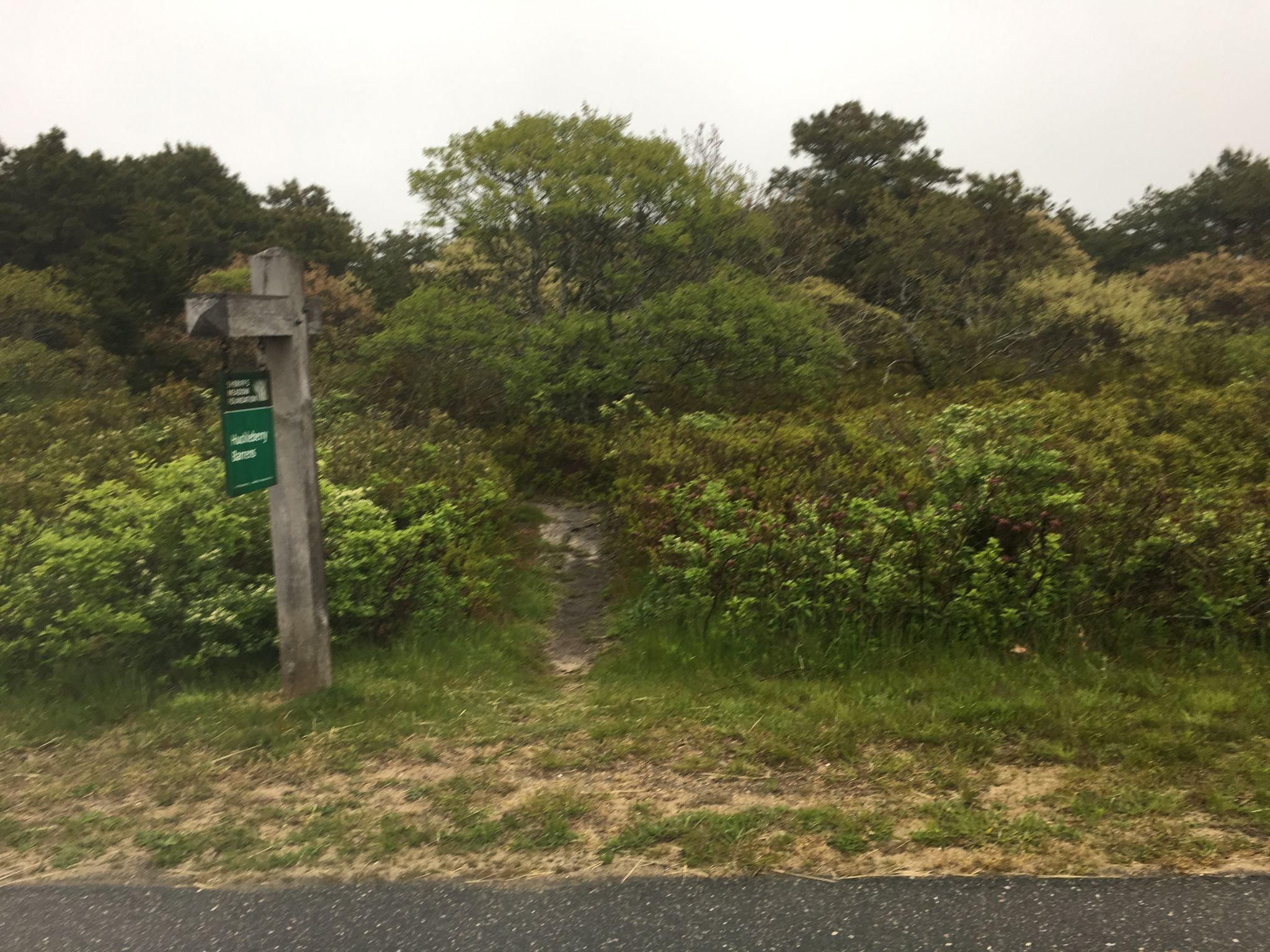 trail off bike path on Katama Road