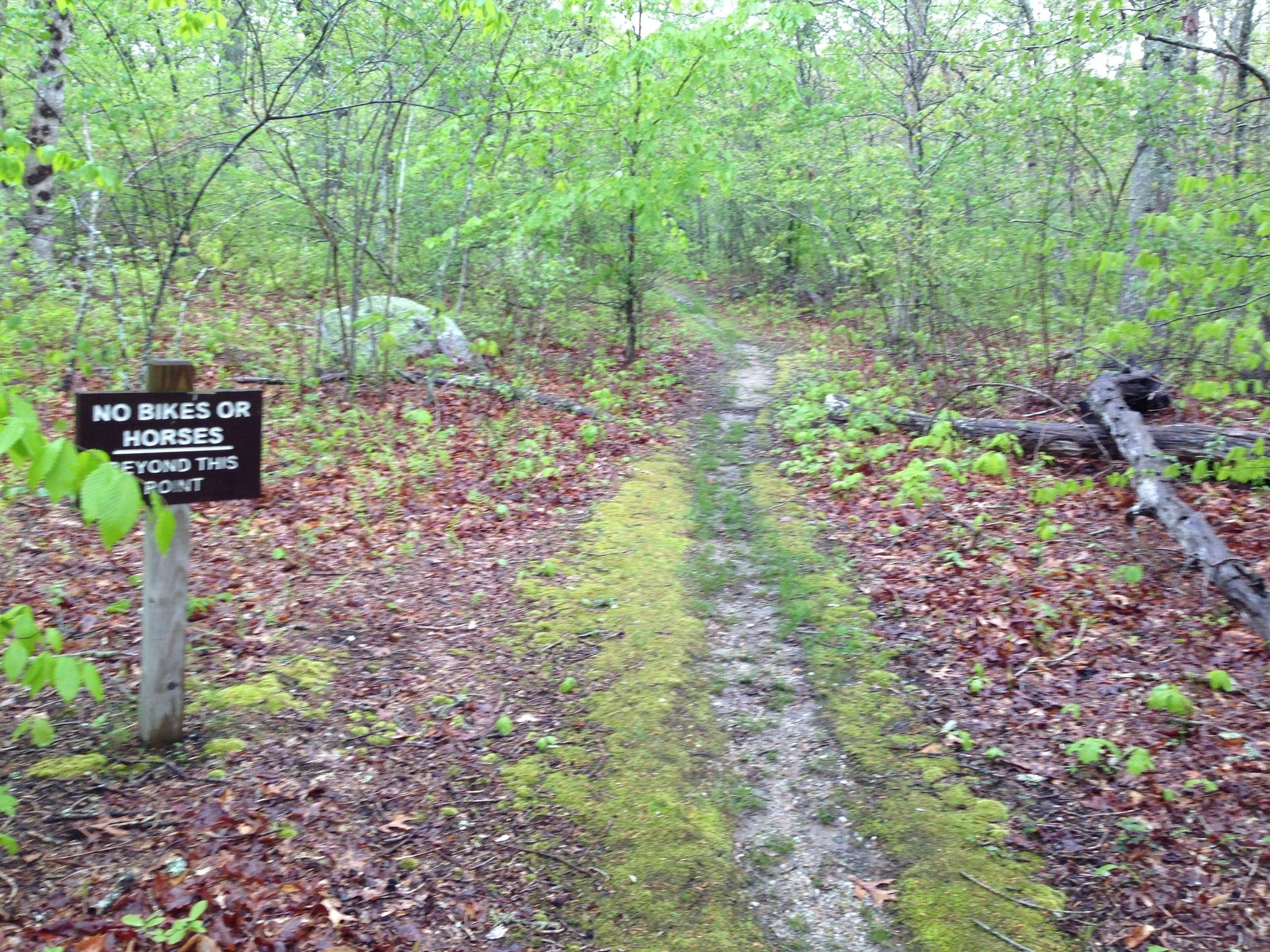 sign at Church Pasture way intersection