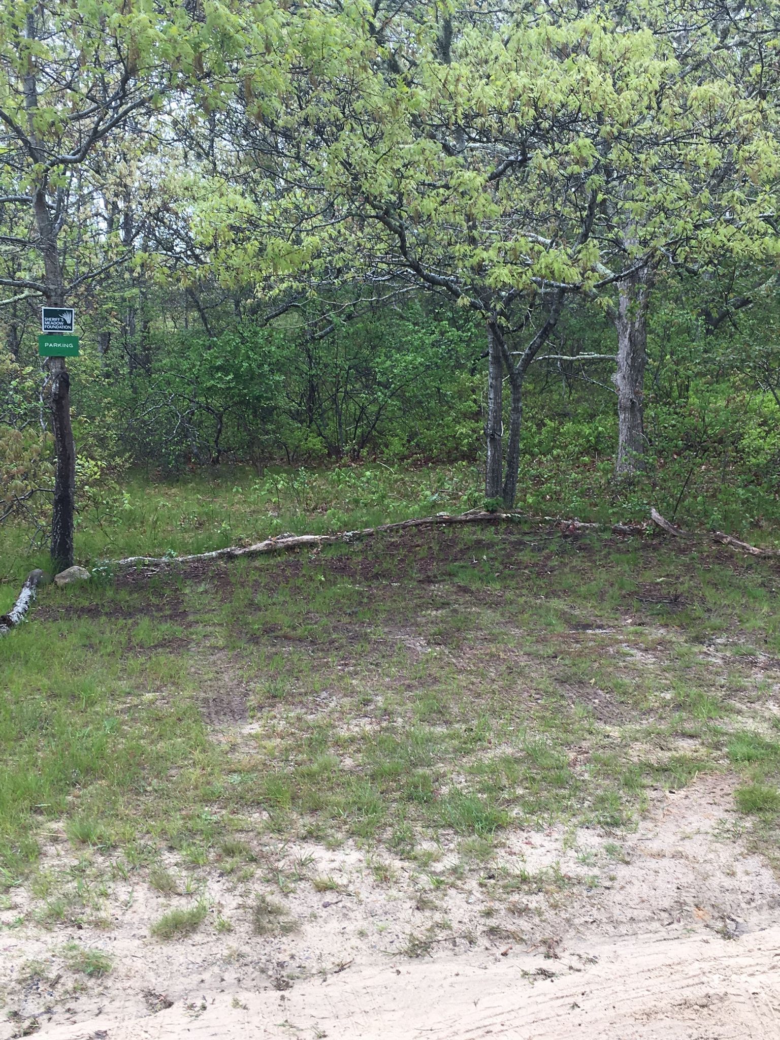 Parking Area at Knapp Preserve