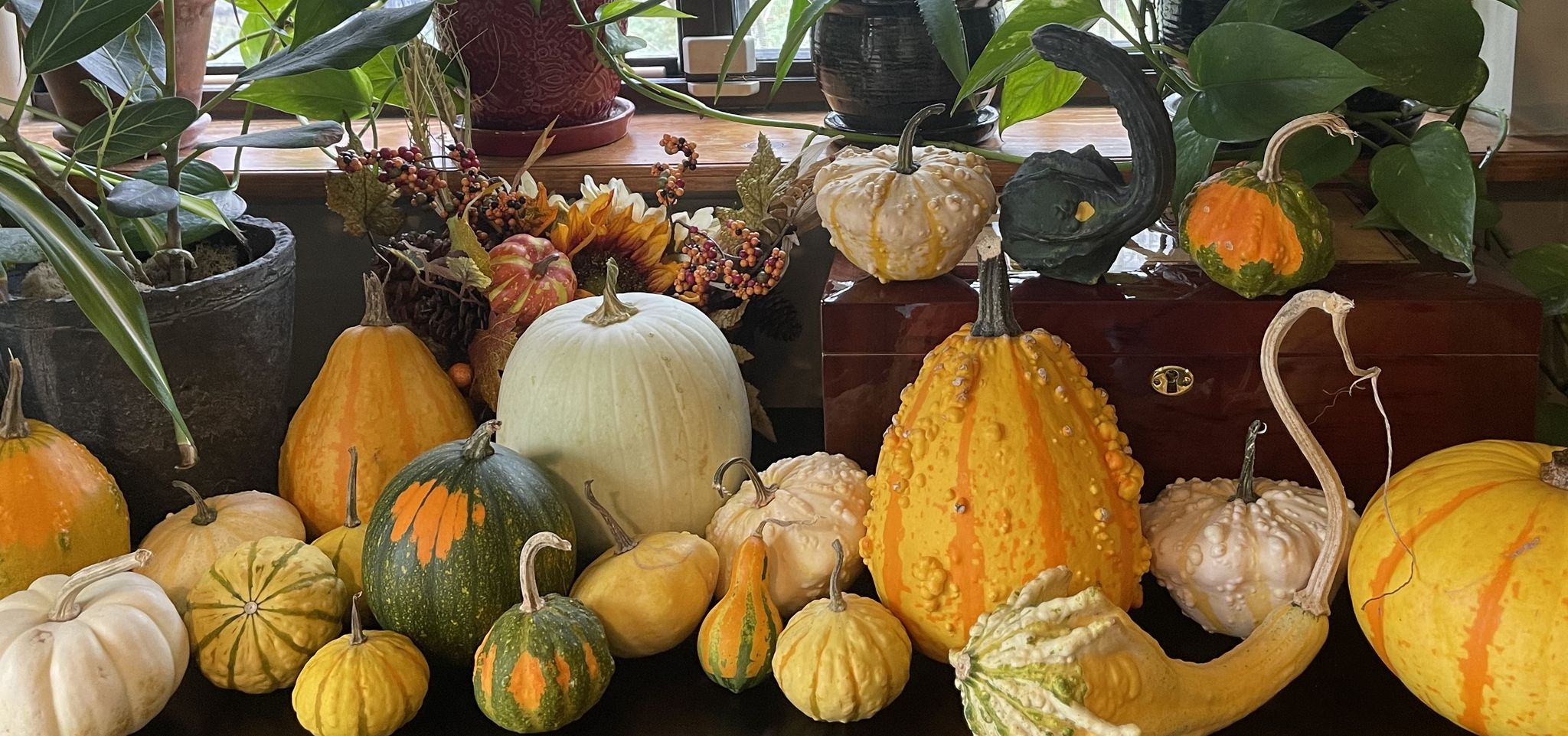 Photo of pumpkins and gourds 