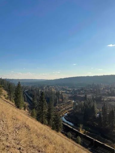 View of trail and creek from the Balsamroot trail