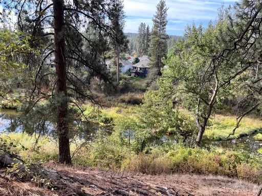 View of natural habitat and creek along the Creekside Loop trail.