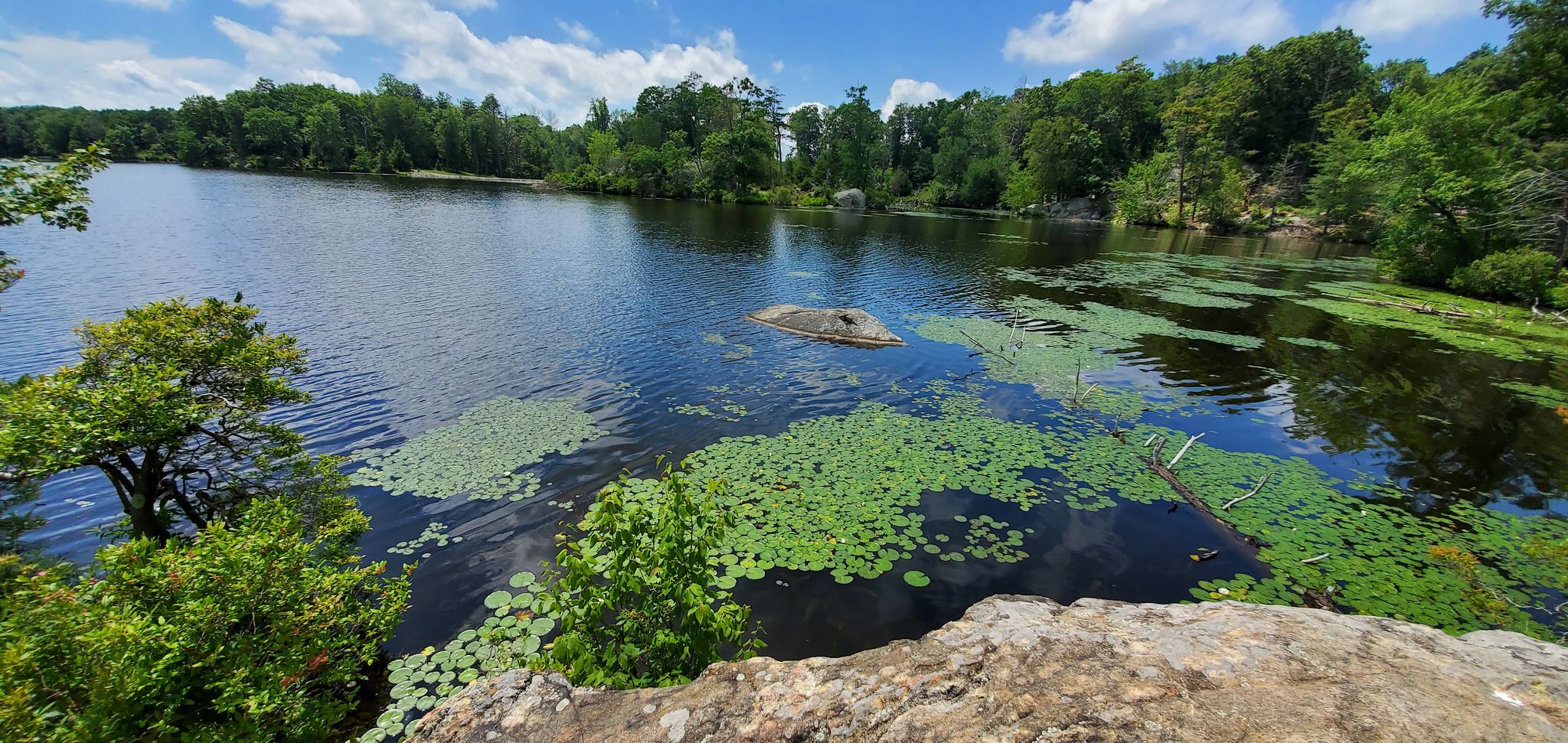 Campsite View of Bear Pond