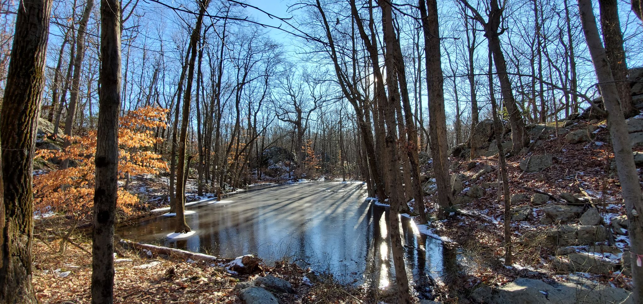Frozen water pond along lake Hopatcong Trail/Highlands Trails
