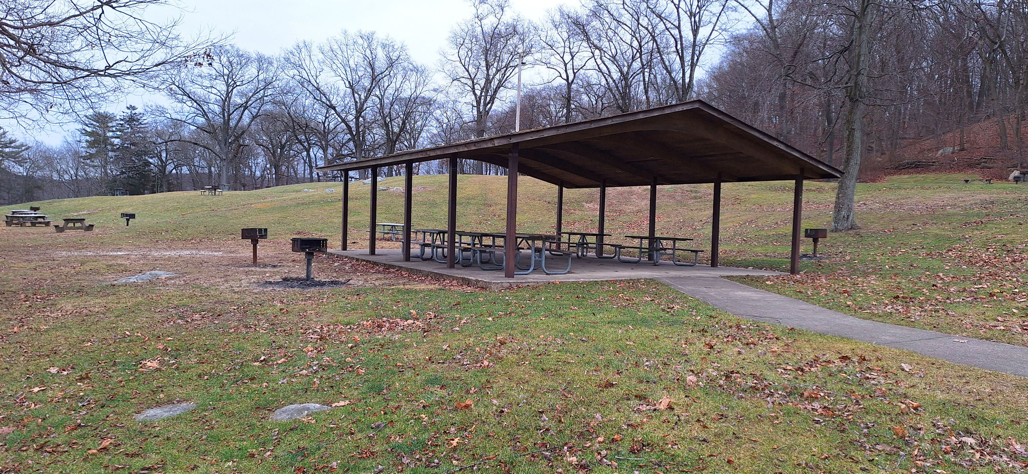 Pavilion in the hillside picnic area