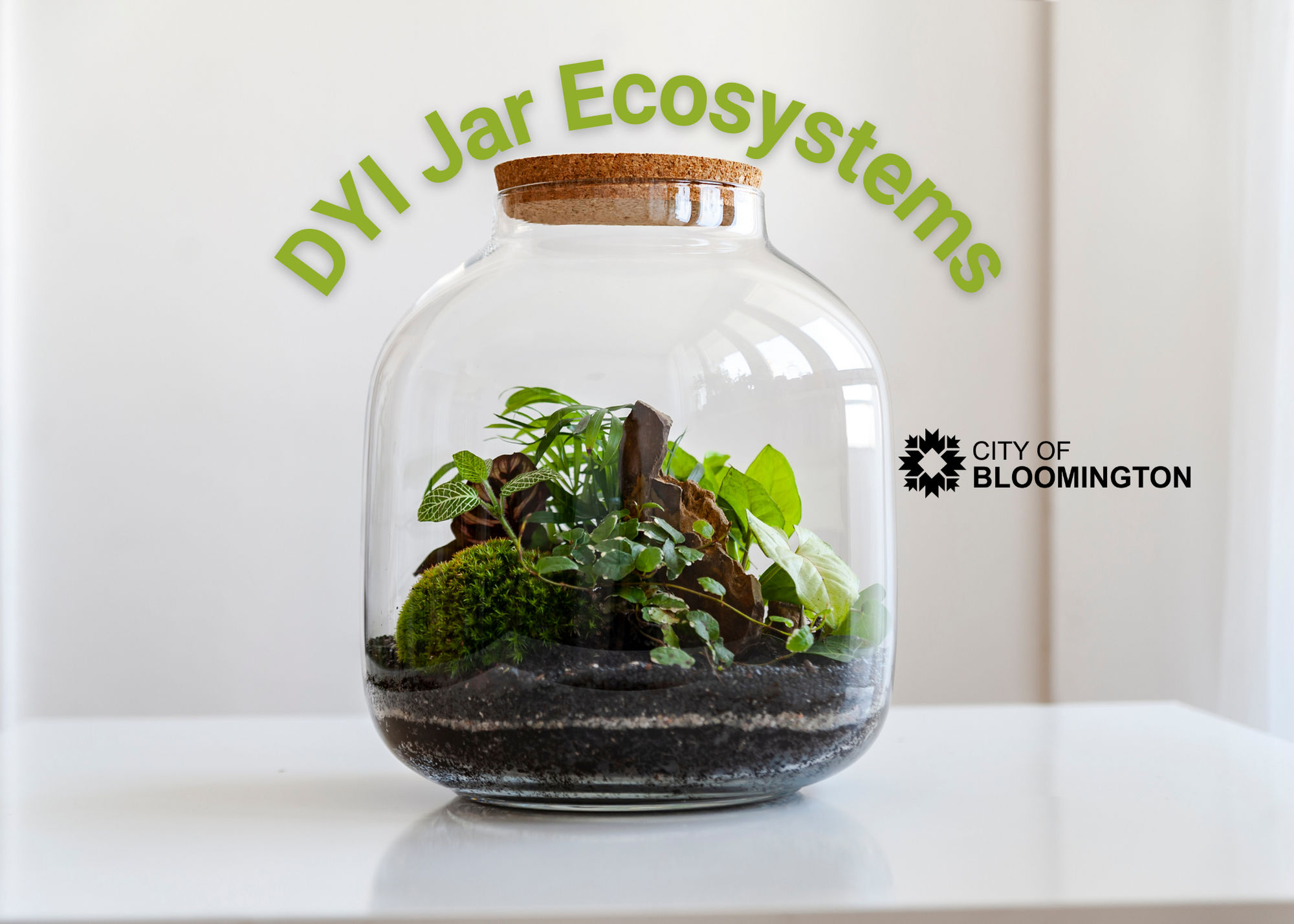 DIY Jar Ecosystems Graphic