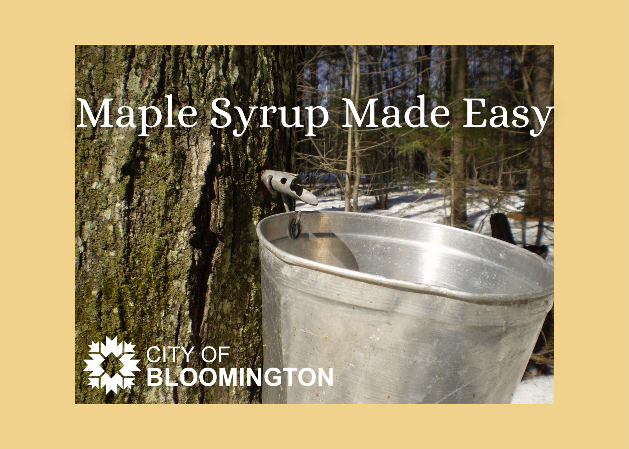 Maple Syrup Made Easy