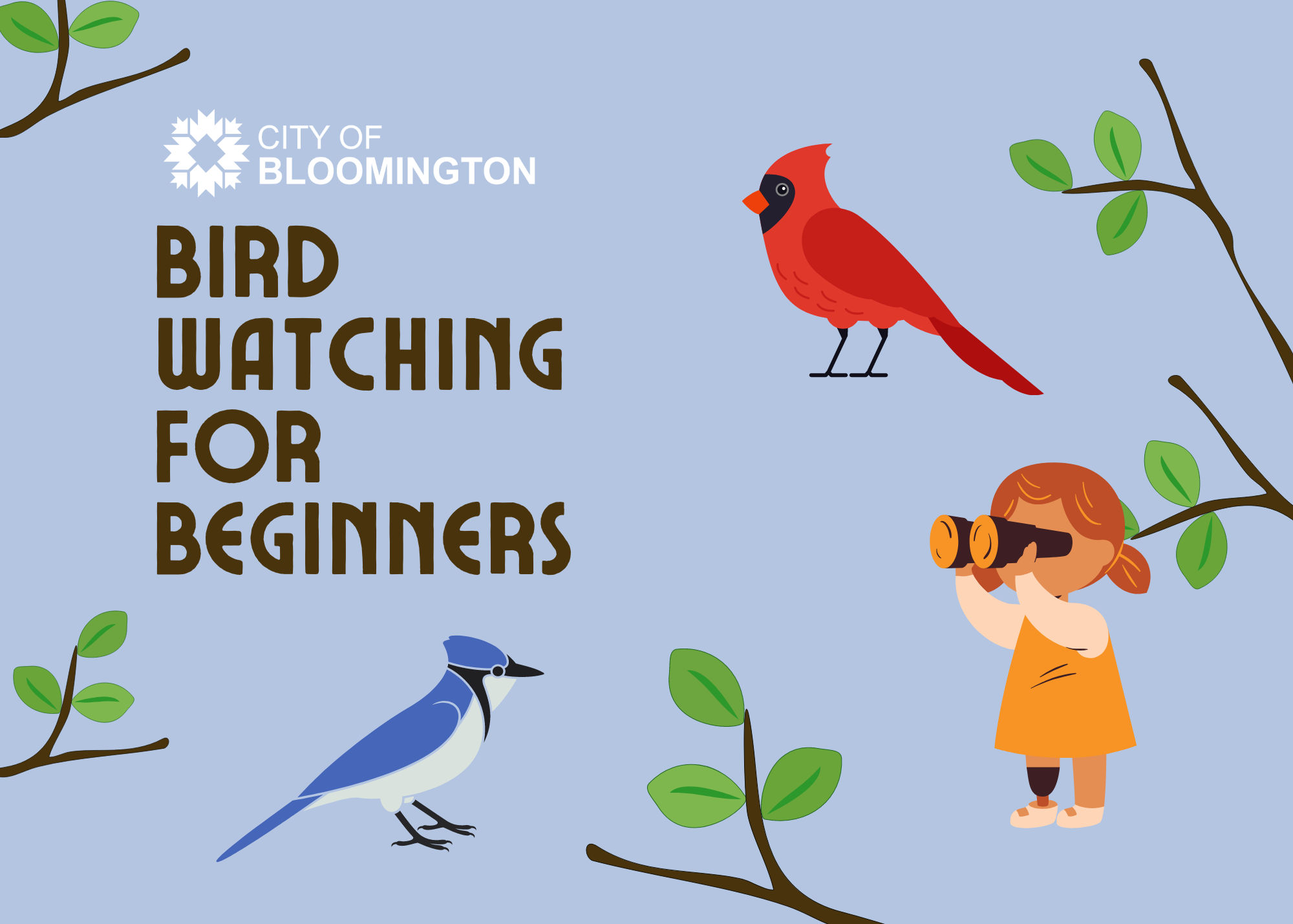 Bird Watching for Beginners Graphic