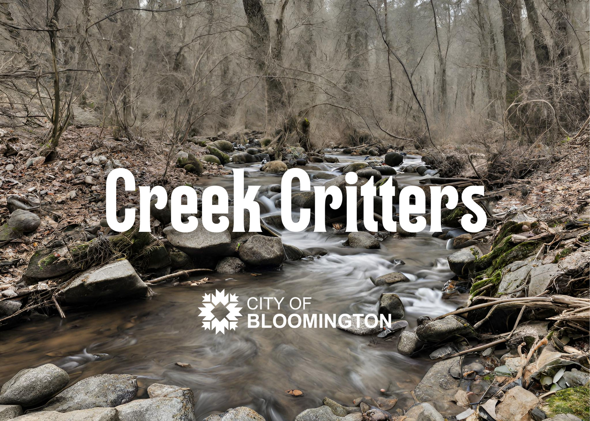 Creek Critters Graphic