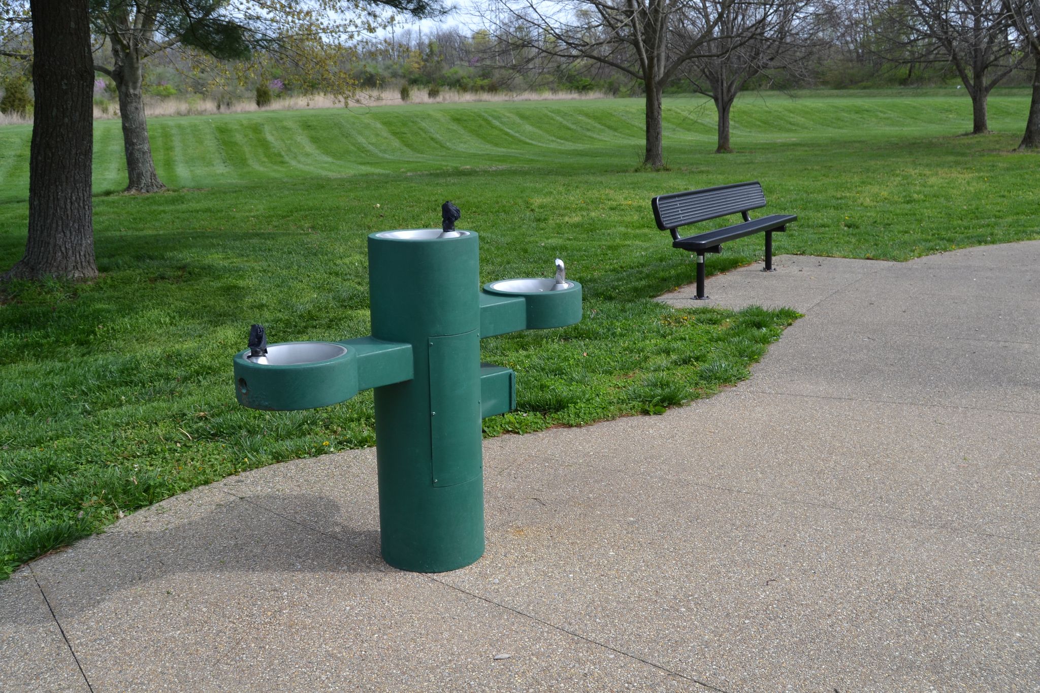 RCA Community Park Water Fountain