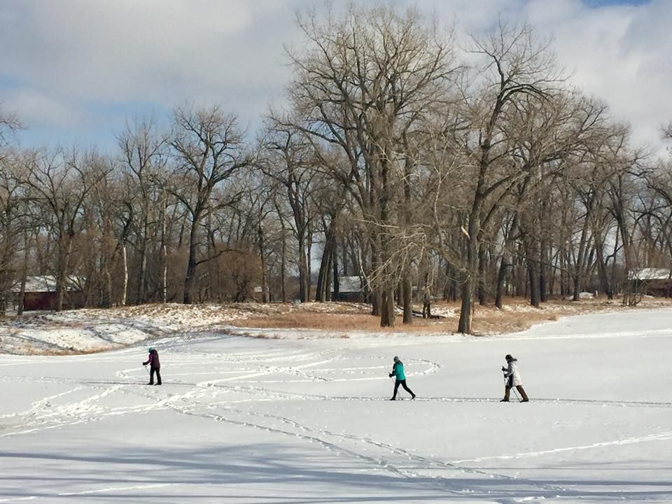Cross-country skiers at Cross Ranch State Park