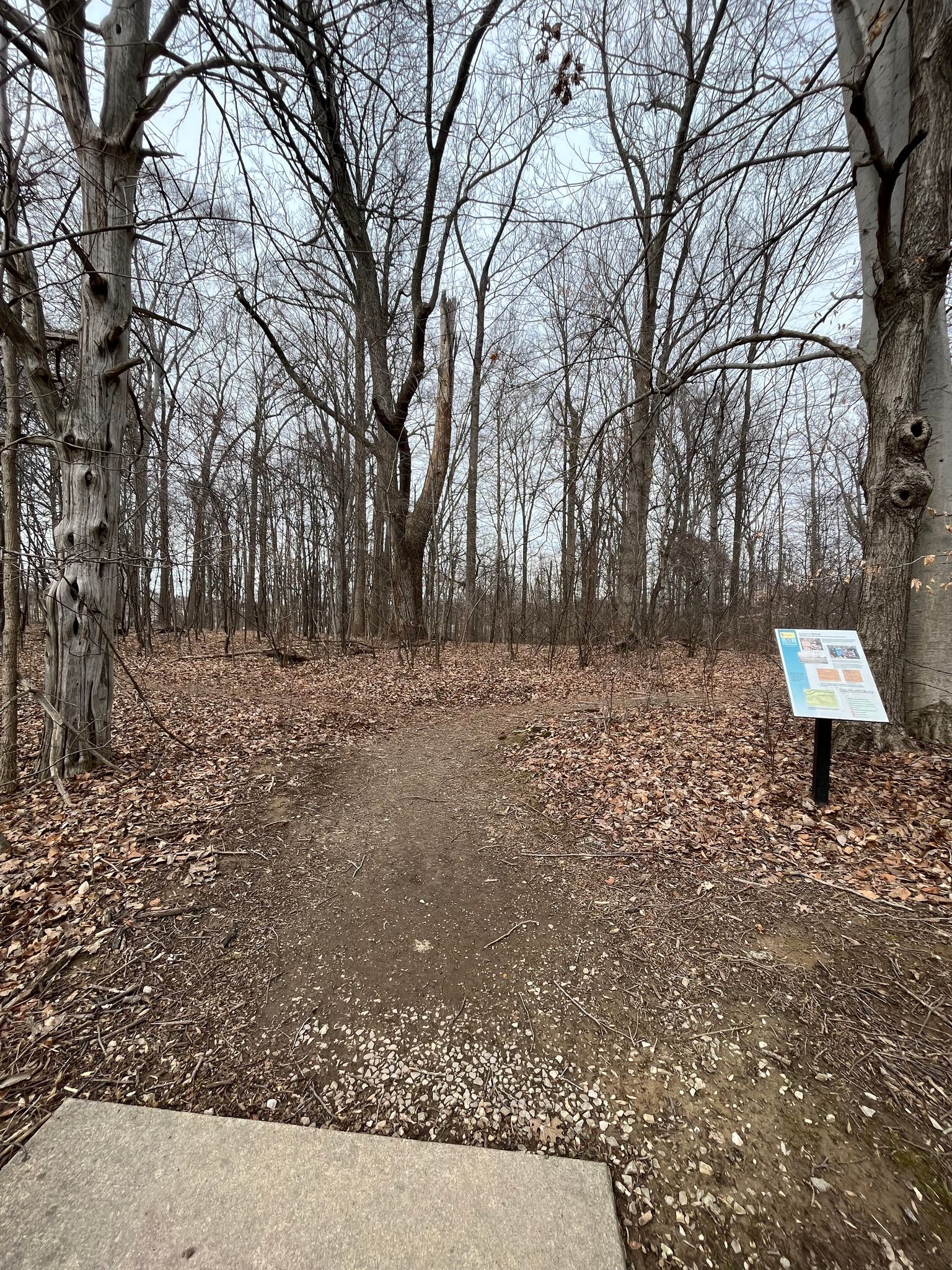 Latimer Woods Main Trailhead