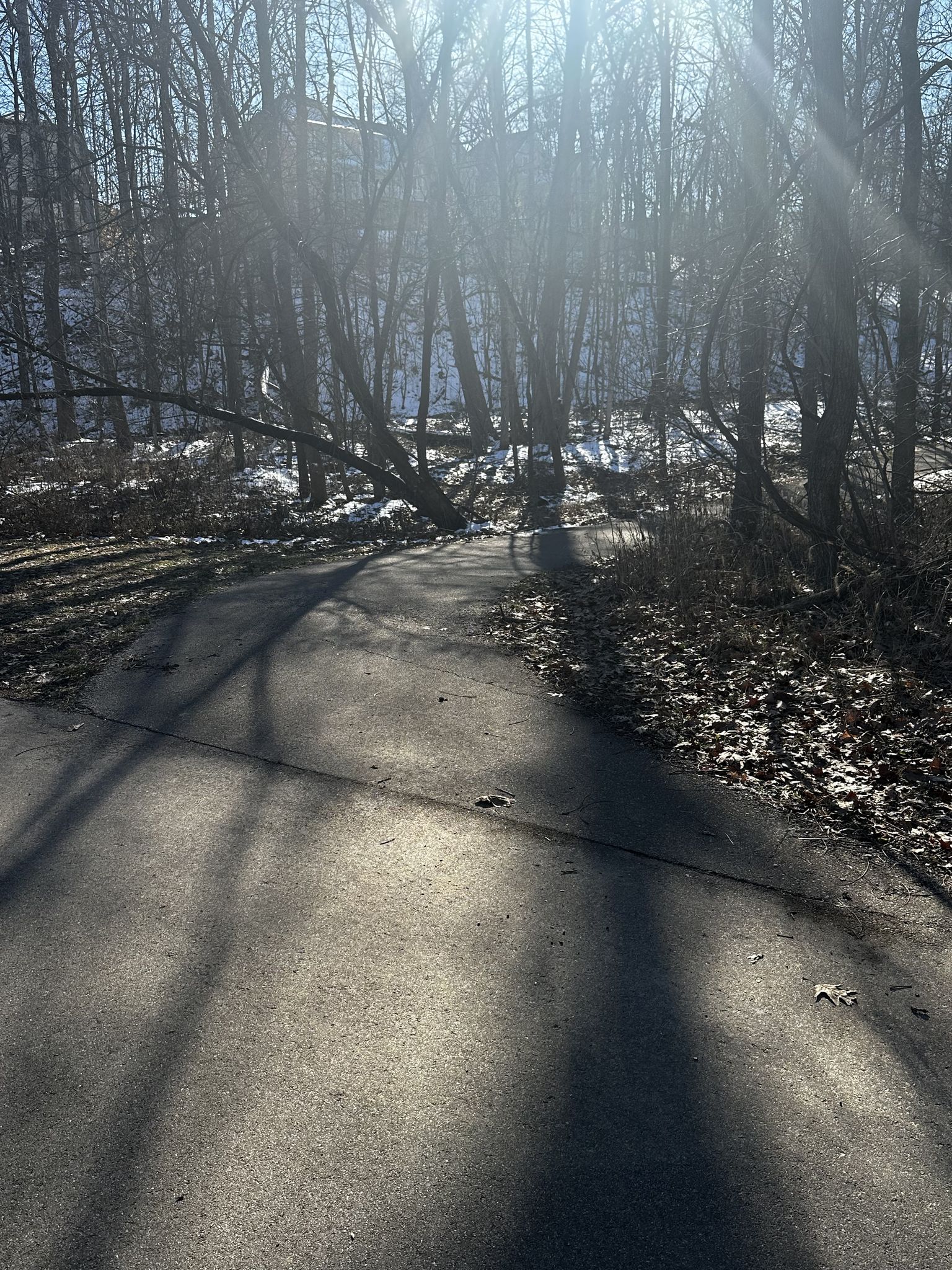 Southeast Trail East Trailhead