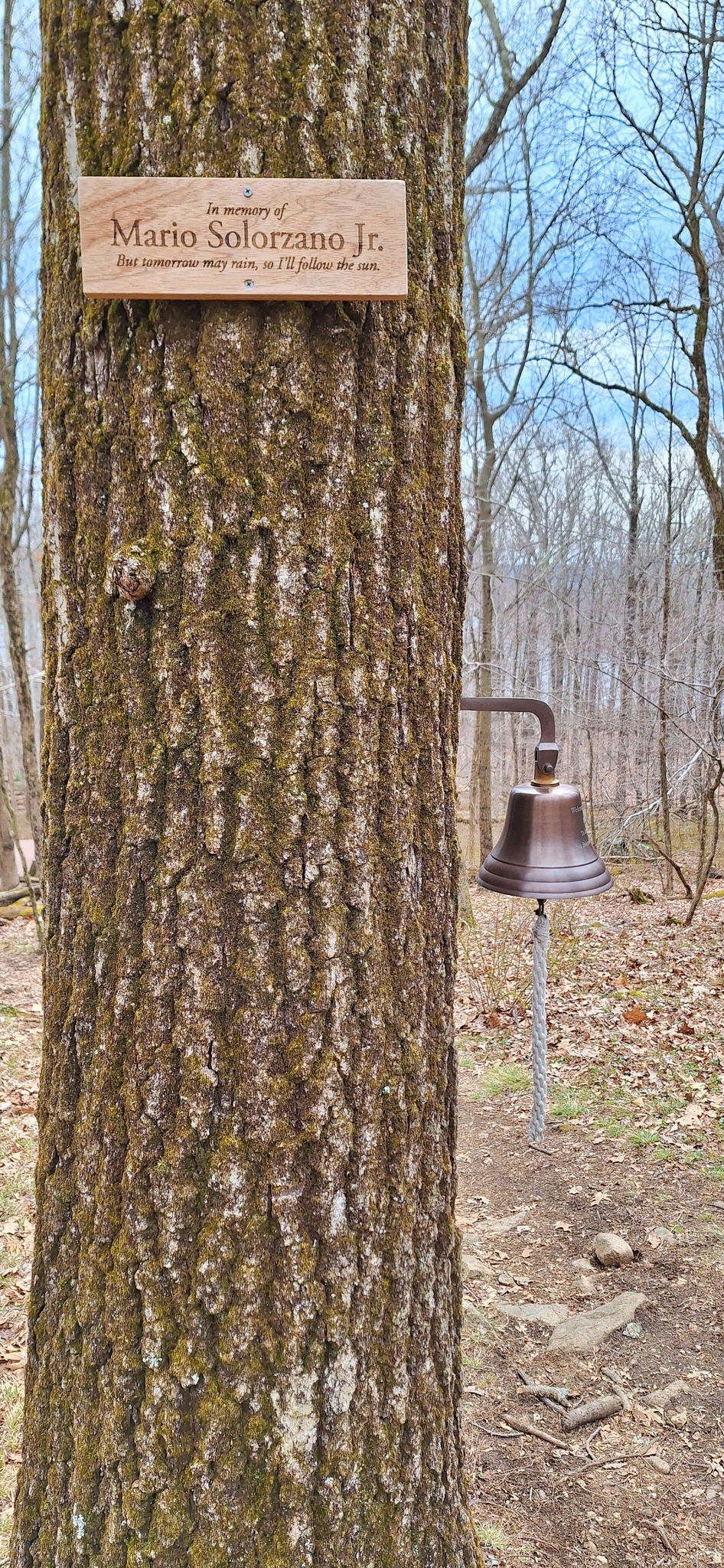 Liffy Island Bell and Plaque