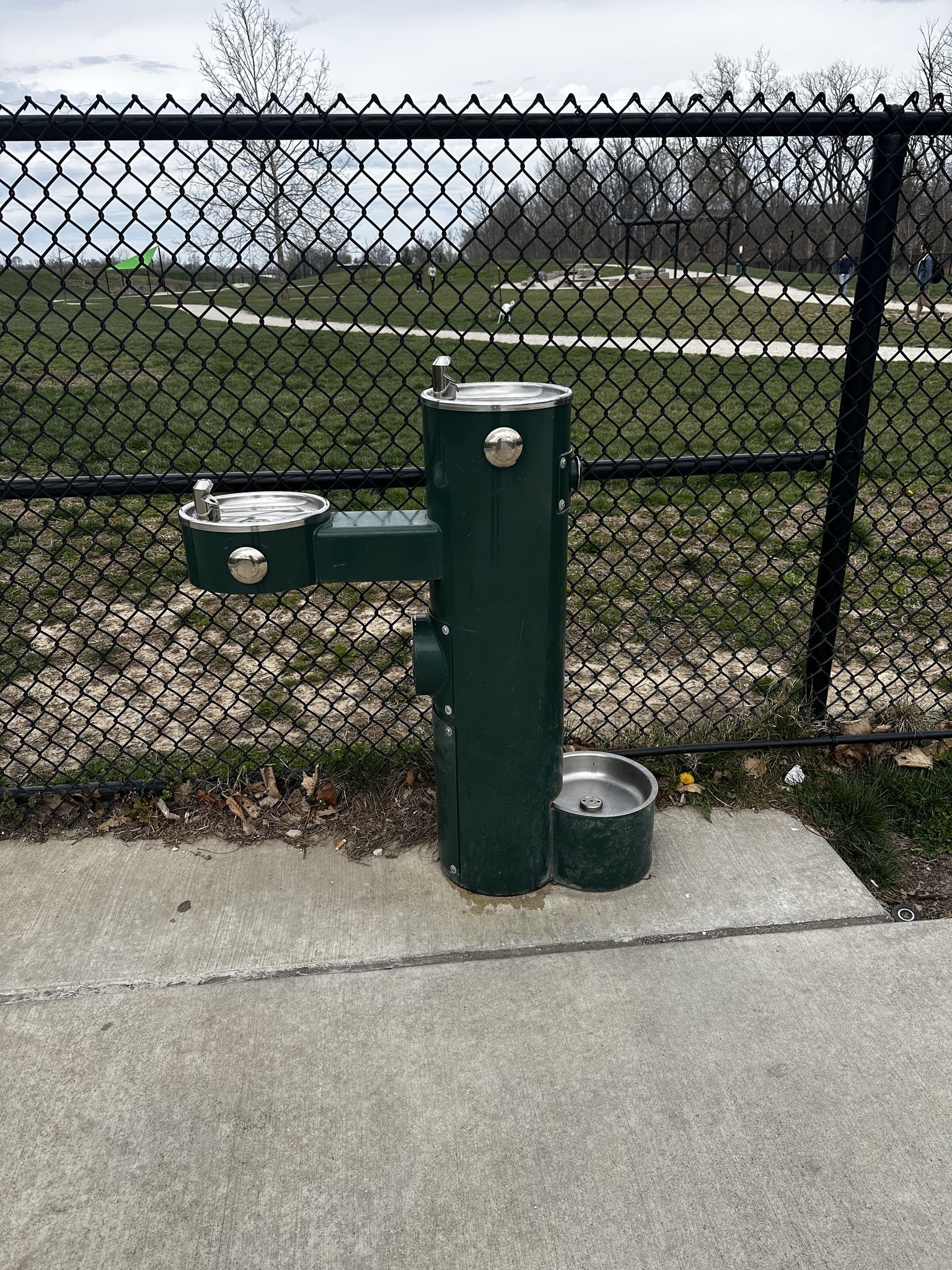 Switchyard Park Dog Park Drinking Fountain