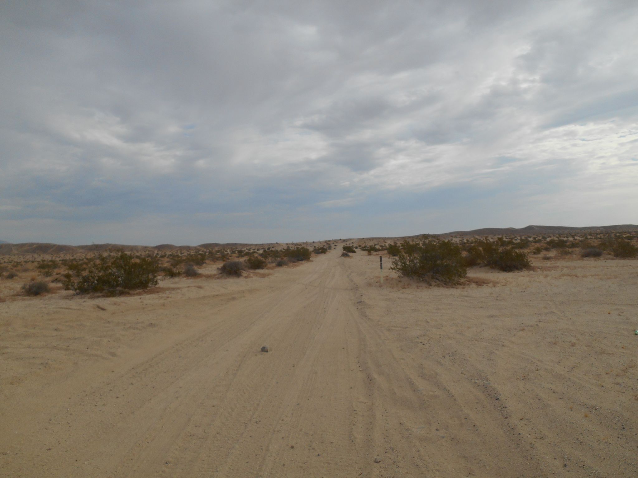 Ocotillo_Road2.JPG