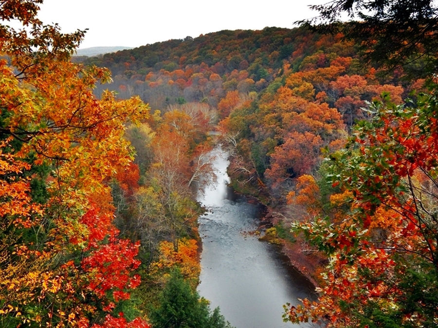 fall foilage overlooking the Little Beaver Creek State and National Wild and Scenic River