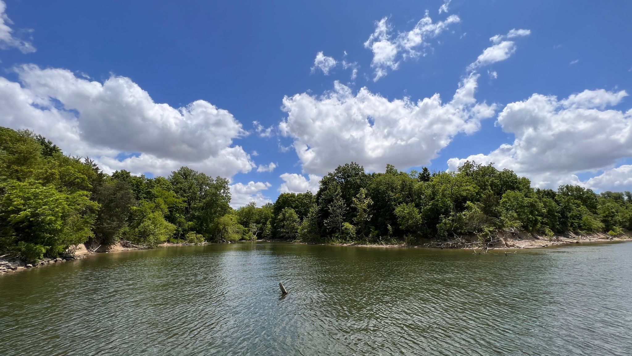 view of caesar creek lake with green trees surrounding with blue skies