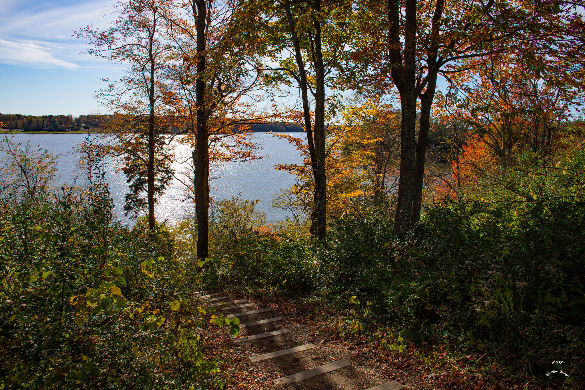 steps leading to a view of cowan lake on a sunny day with fall trees surrounding