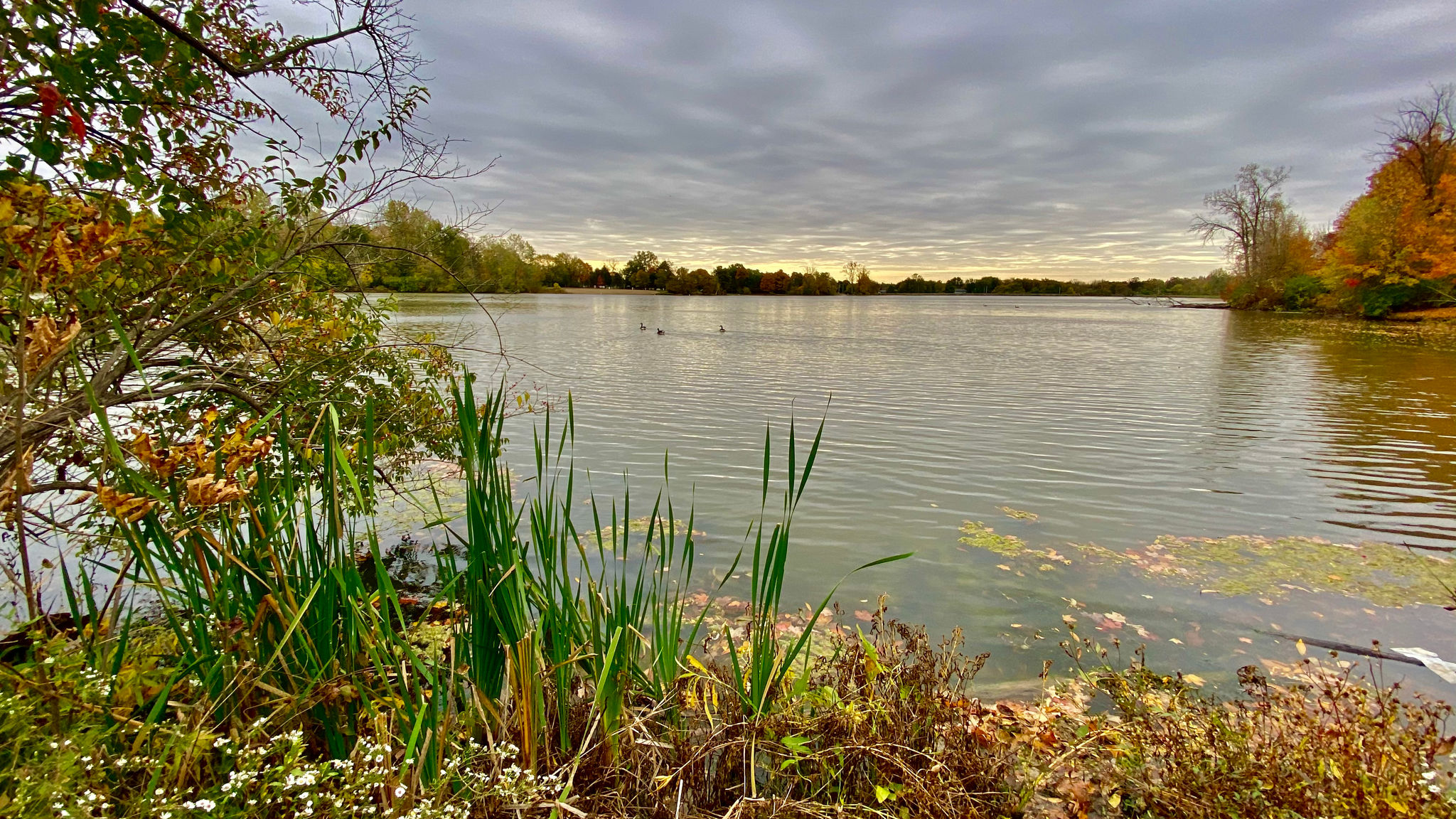 view of madison lake state park with cloudy skies and fall foliage surrounding