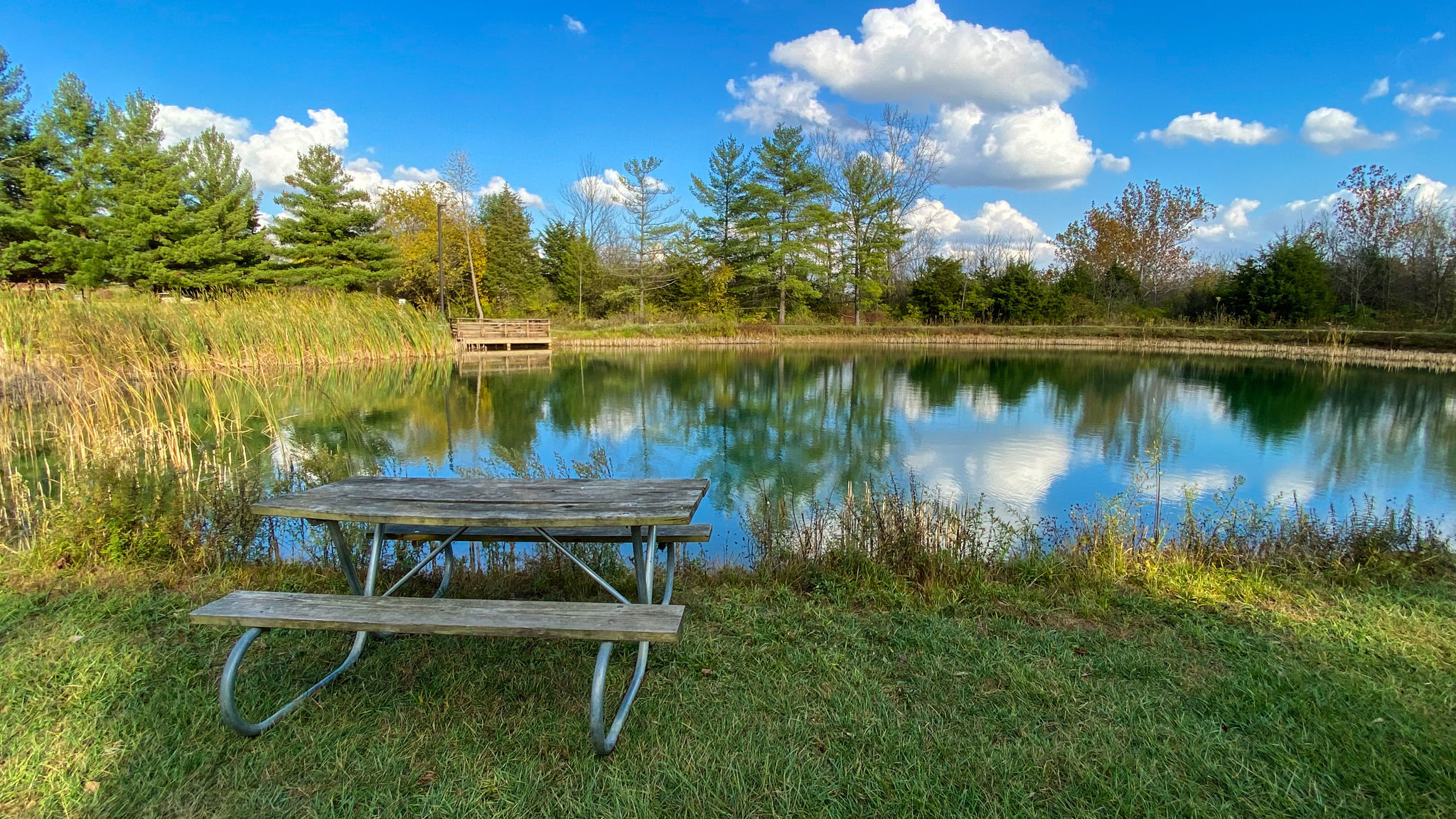 view of a picnic table sitting in front of a pond at sycamore state park with a blue sky