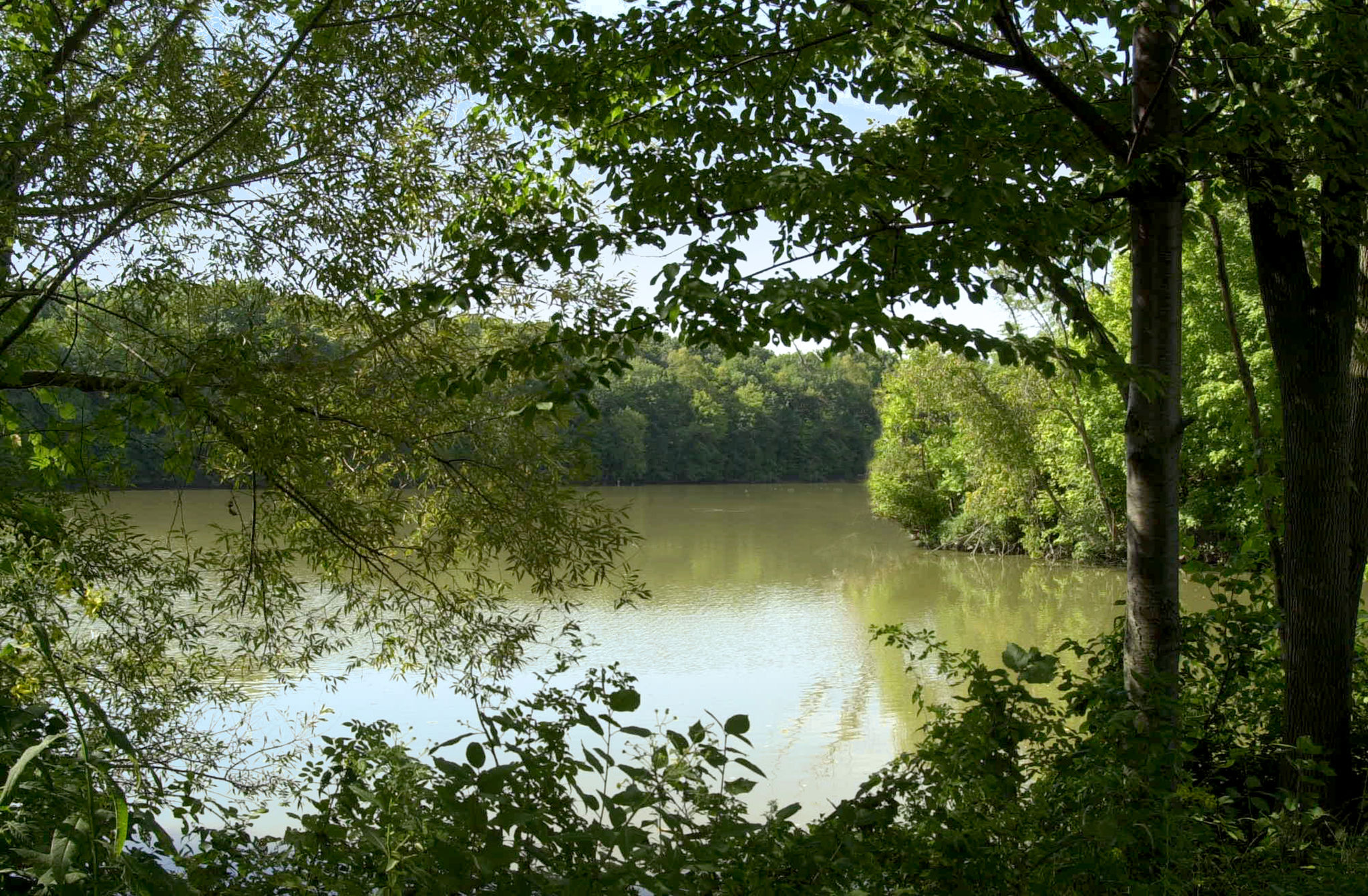 view from a bank with trees in front of the lake at van buren state park