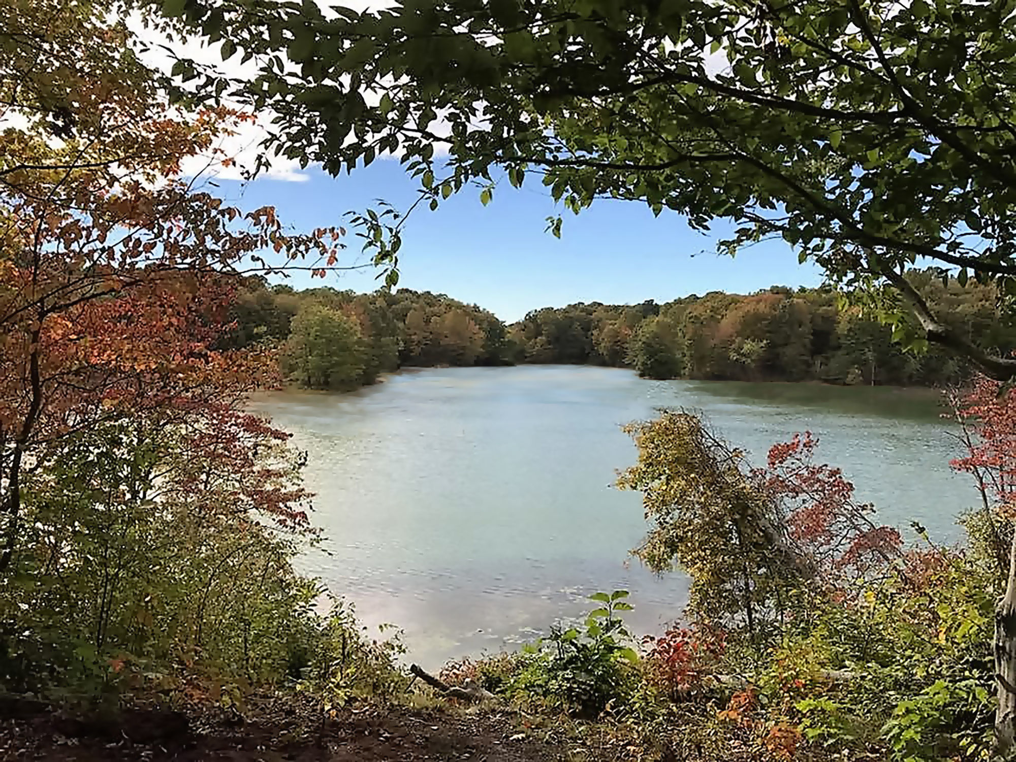 view of west branch lake with trees around