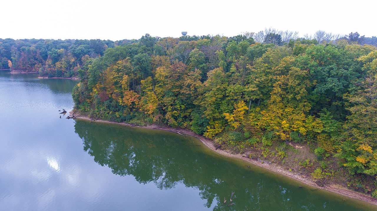 Aerial view of the trees lining Caesar Creek Lake at Caesar Creek State Park.