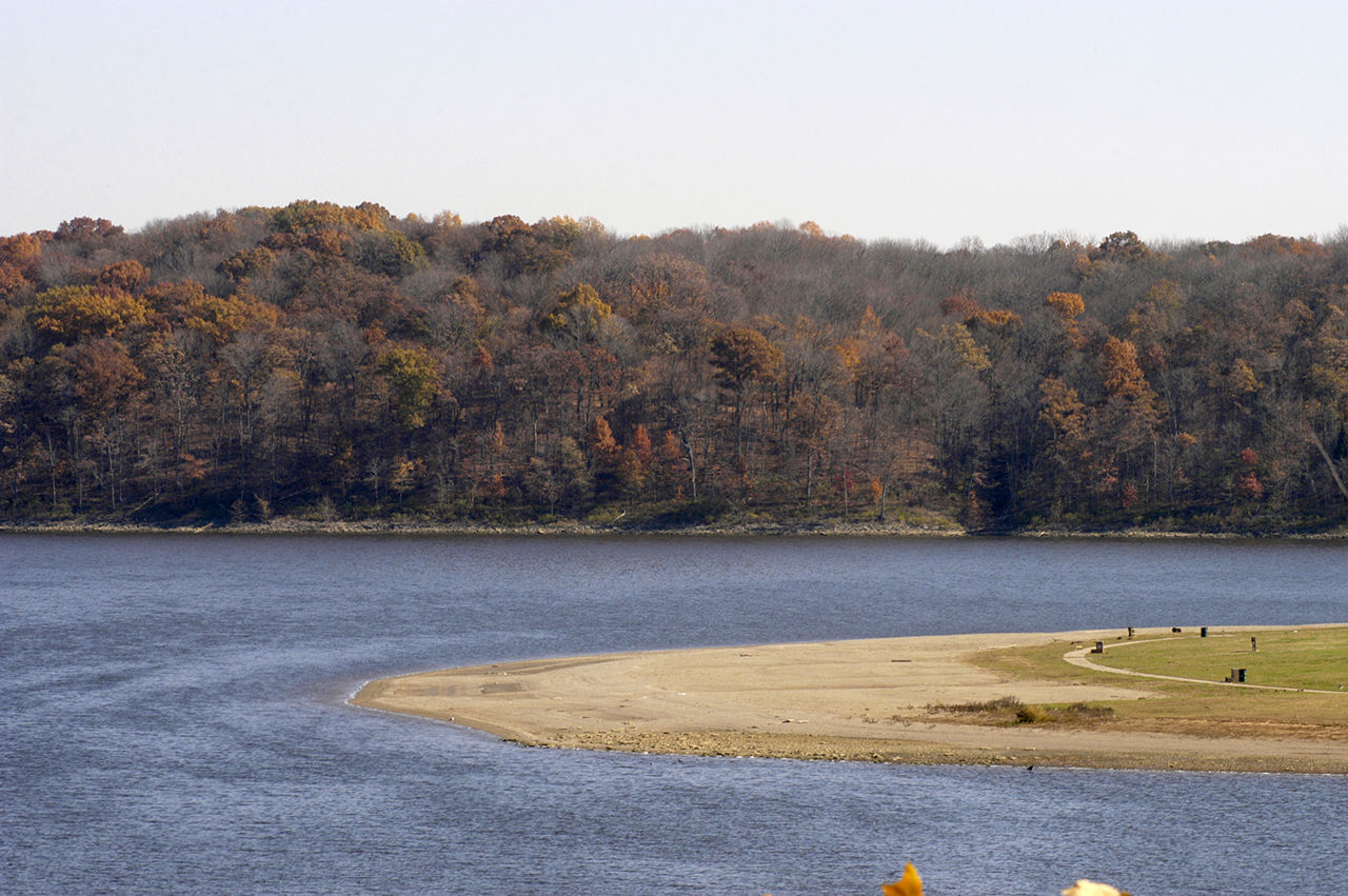 A lake with a sandy beach and a forest of trees at East Fork State Park