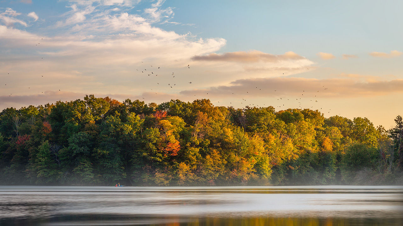A group of birds flying over a lake at sunset at Findley State Park