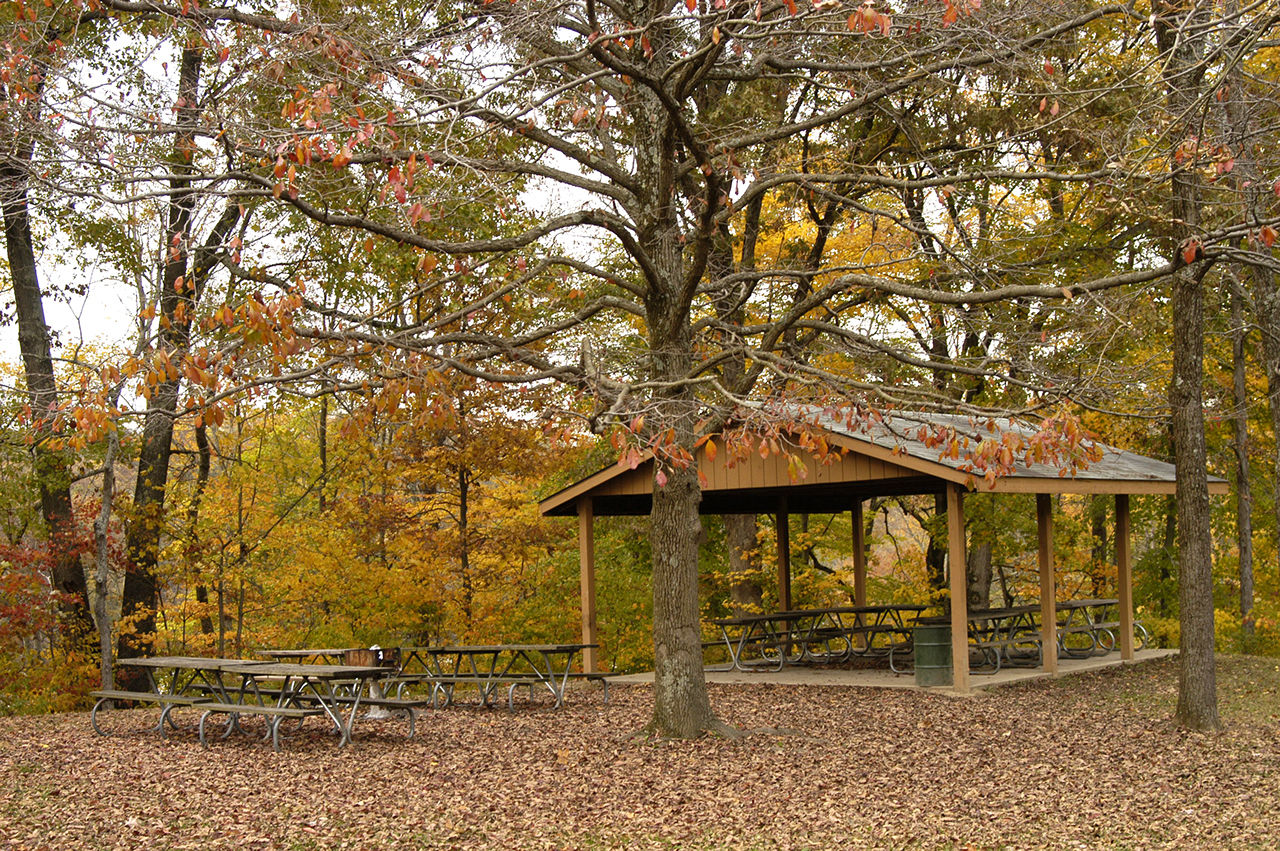 A picnic area with benches and a shelter house in the middle of a wooded area at Forked Run State Park
