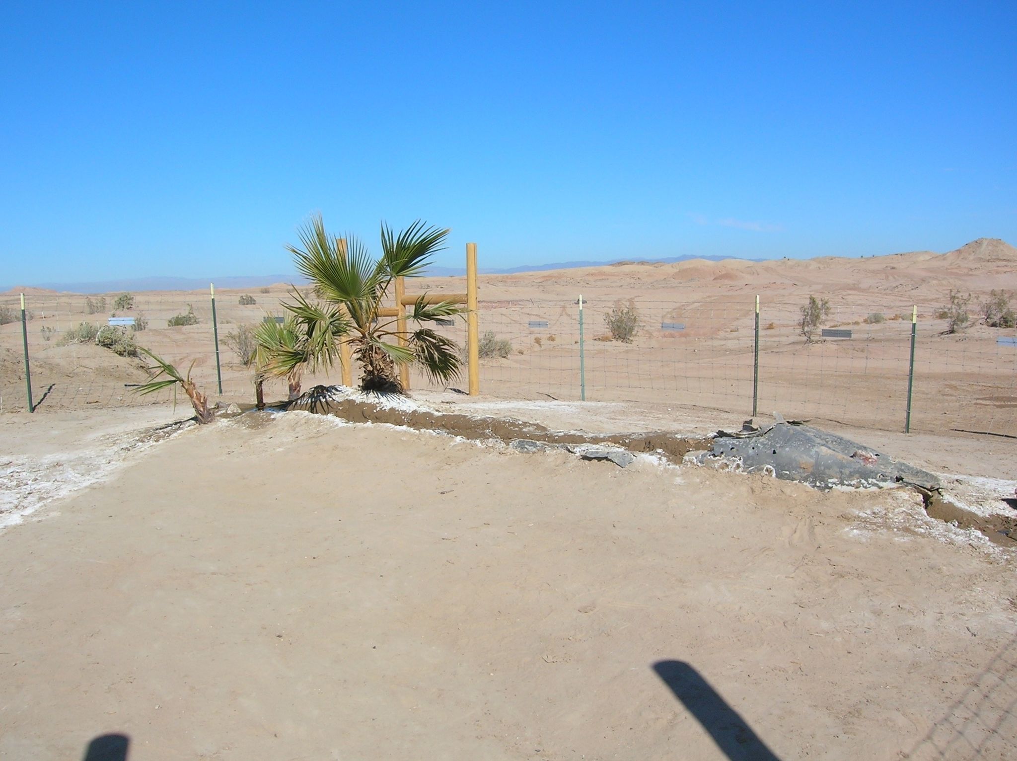 Artesian_Well_water_palm_trees.JPG