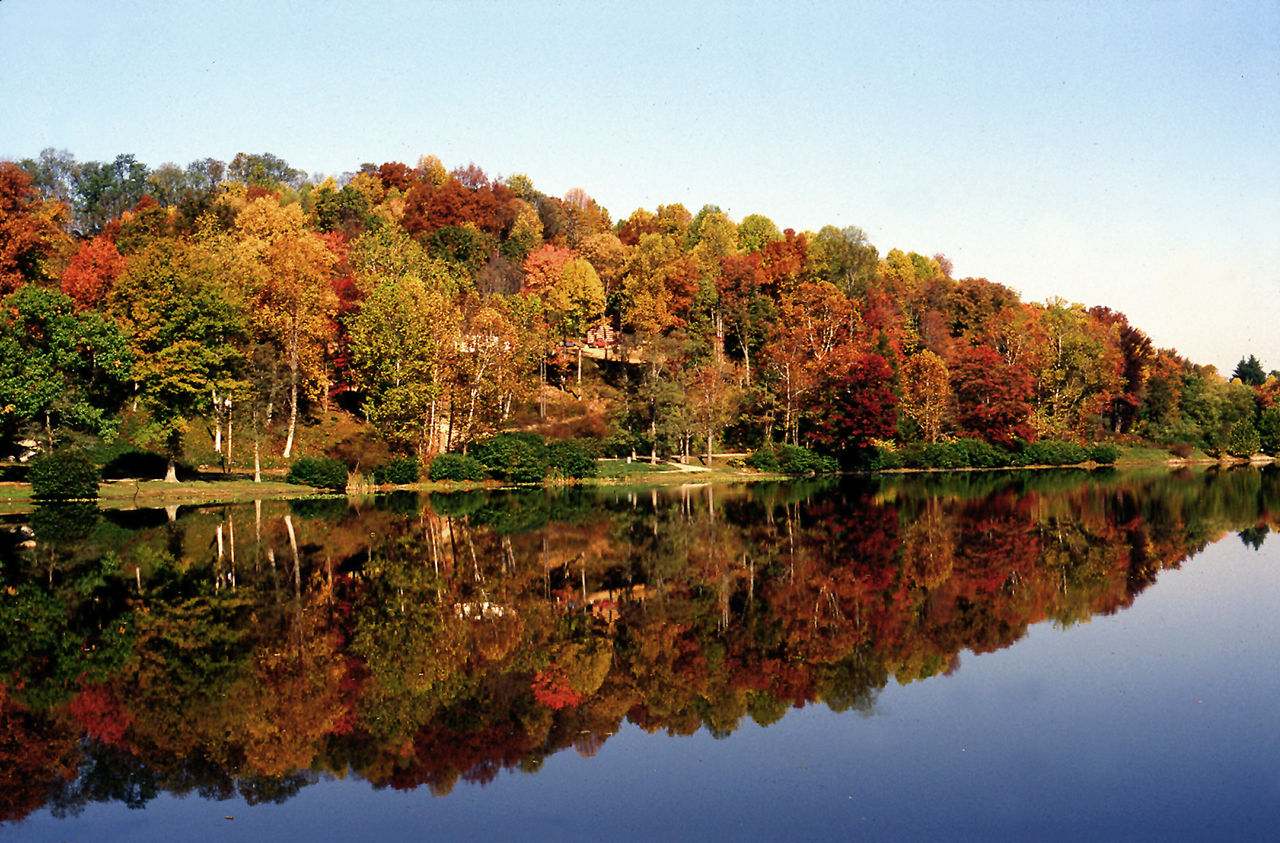 A body of water surrounded by fall colored trees at Jackson Lake State Park