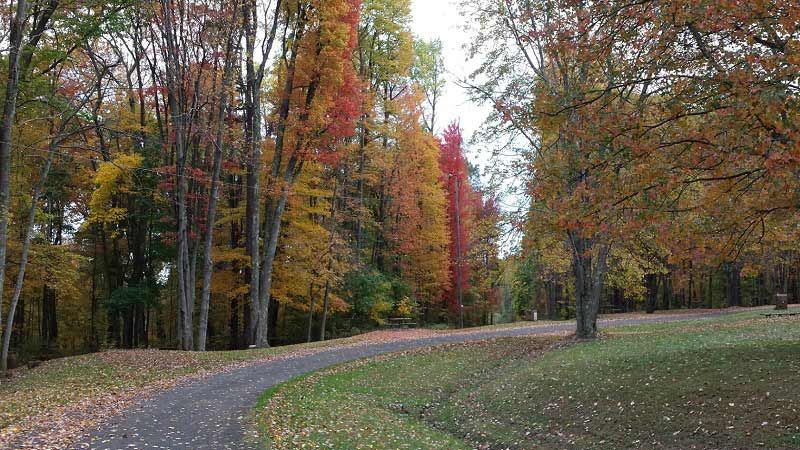 A road lined with trees at Jefferson Lake State Park