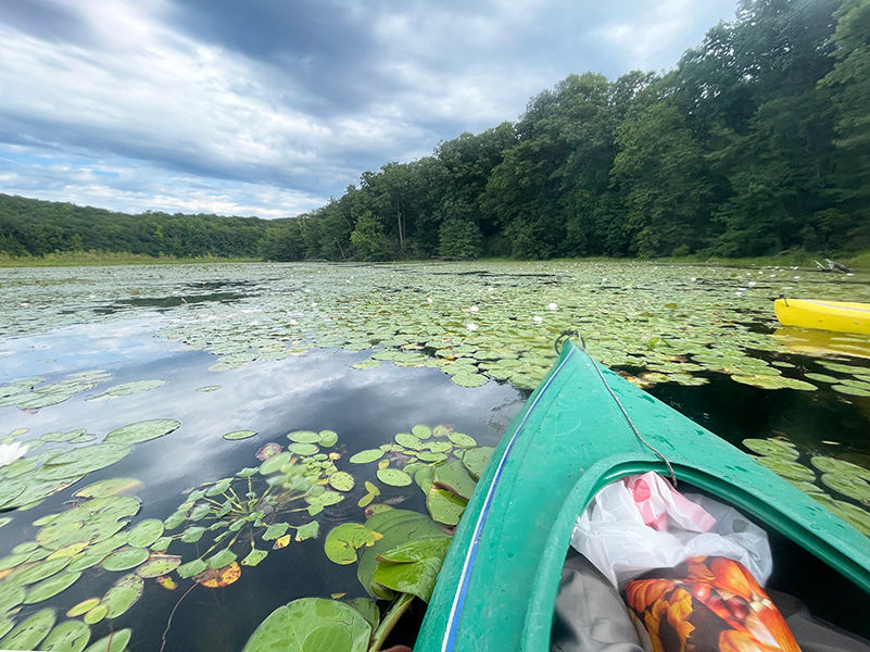 Water Scouts: Hunting Water Chestnuts