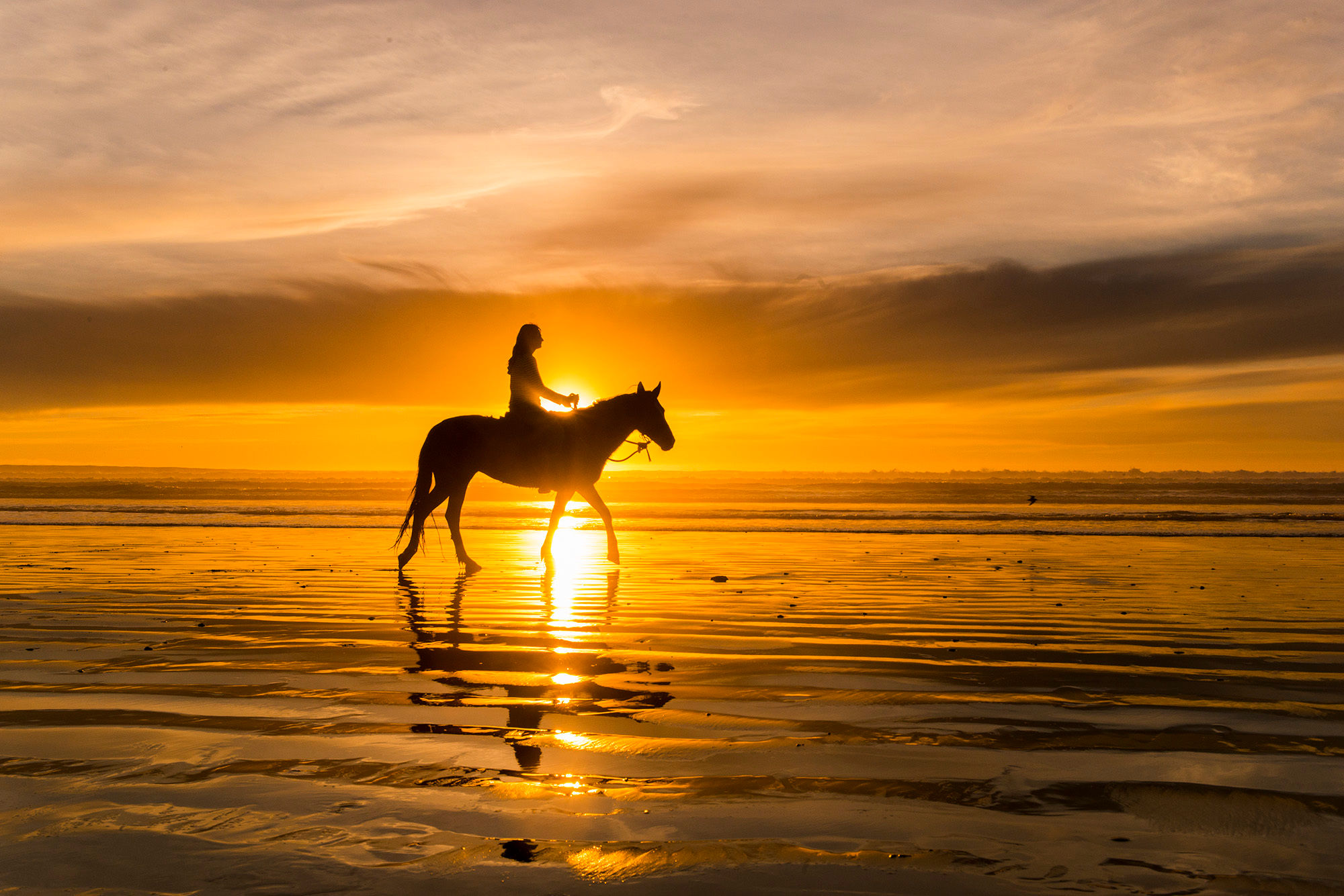 A horse and rider on Pismo Beach at sunset.