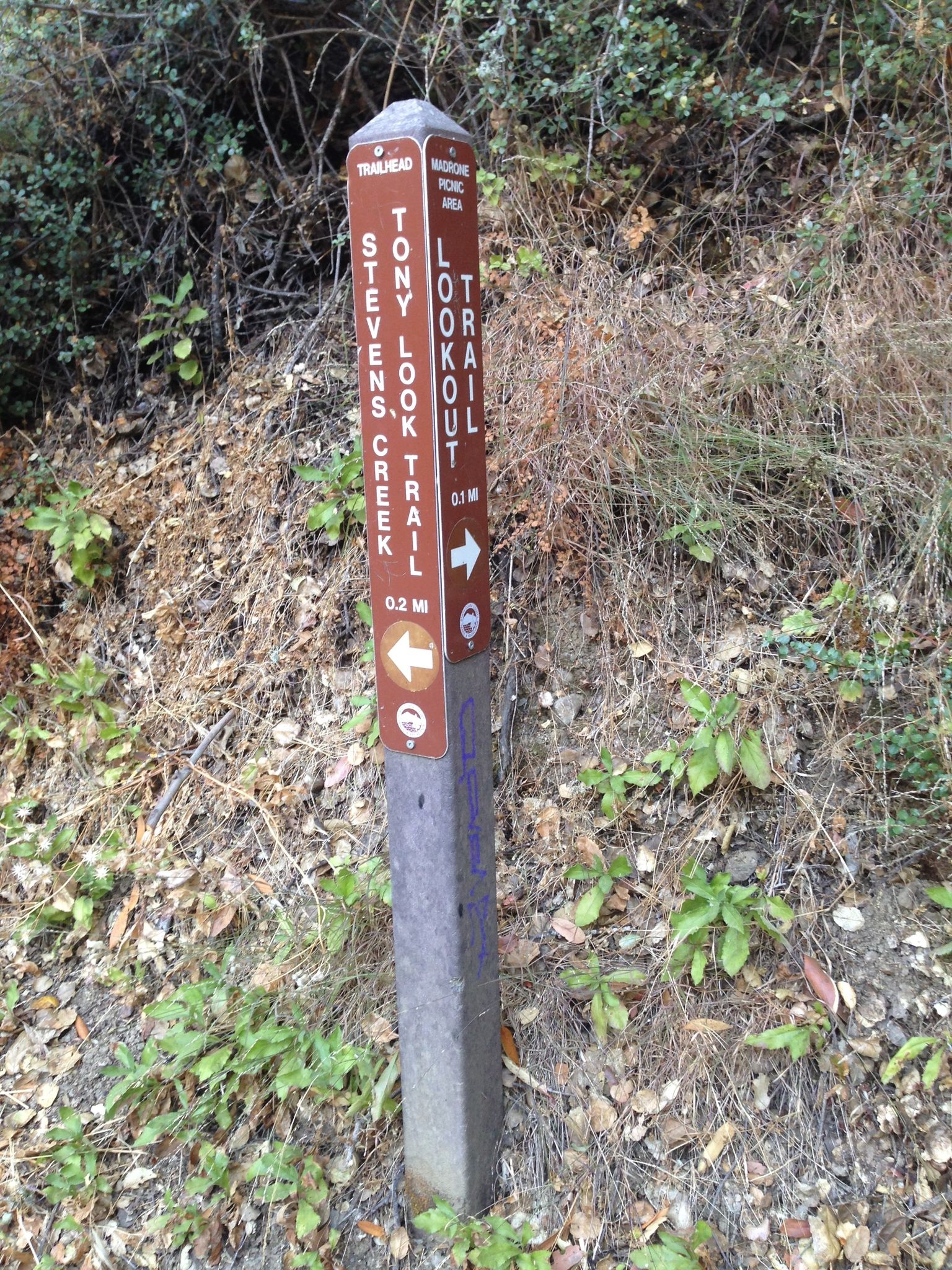 Junction marker near south end of Tony Look Trail where Lookout Trail branches to head up into Fremont Older Open Space Preserve