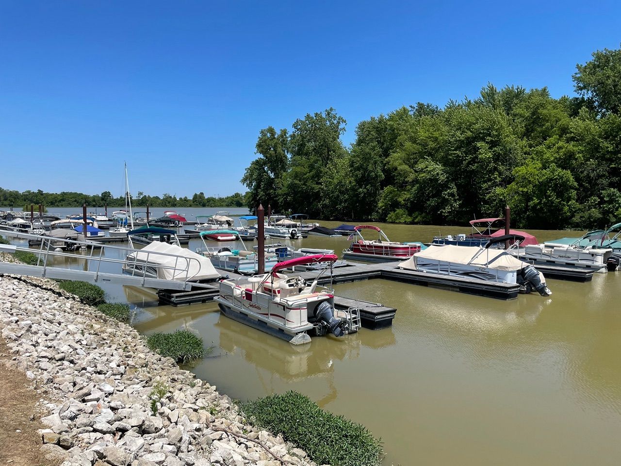 A large group of boats docked on a body of water at Mary Jane Thurston State Park