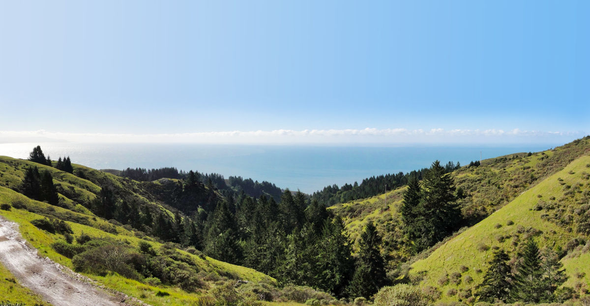 View of ocean, sky, and trees along the Matt Davis Trail.