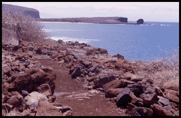 Ocean scenery at Hulopoe-Huawai Fishing Trail