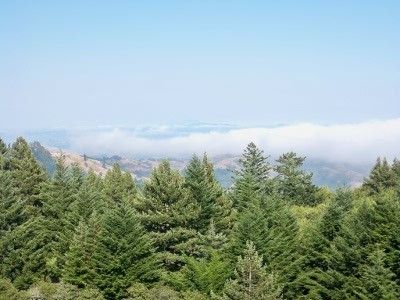 View of fog rolling in from Mount Tamalpais