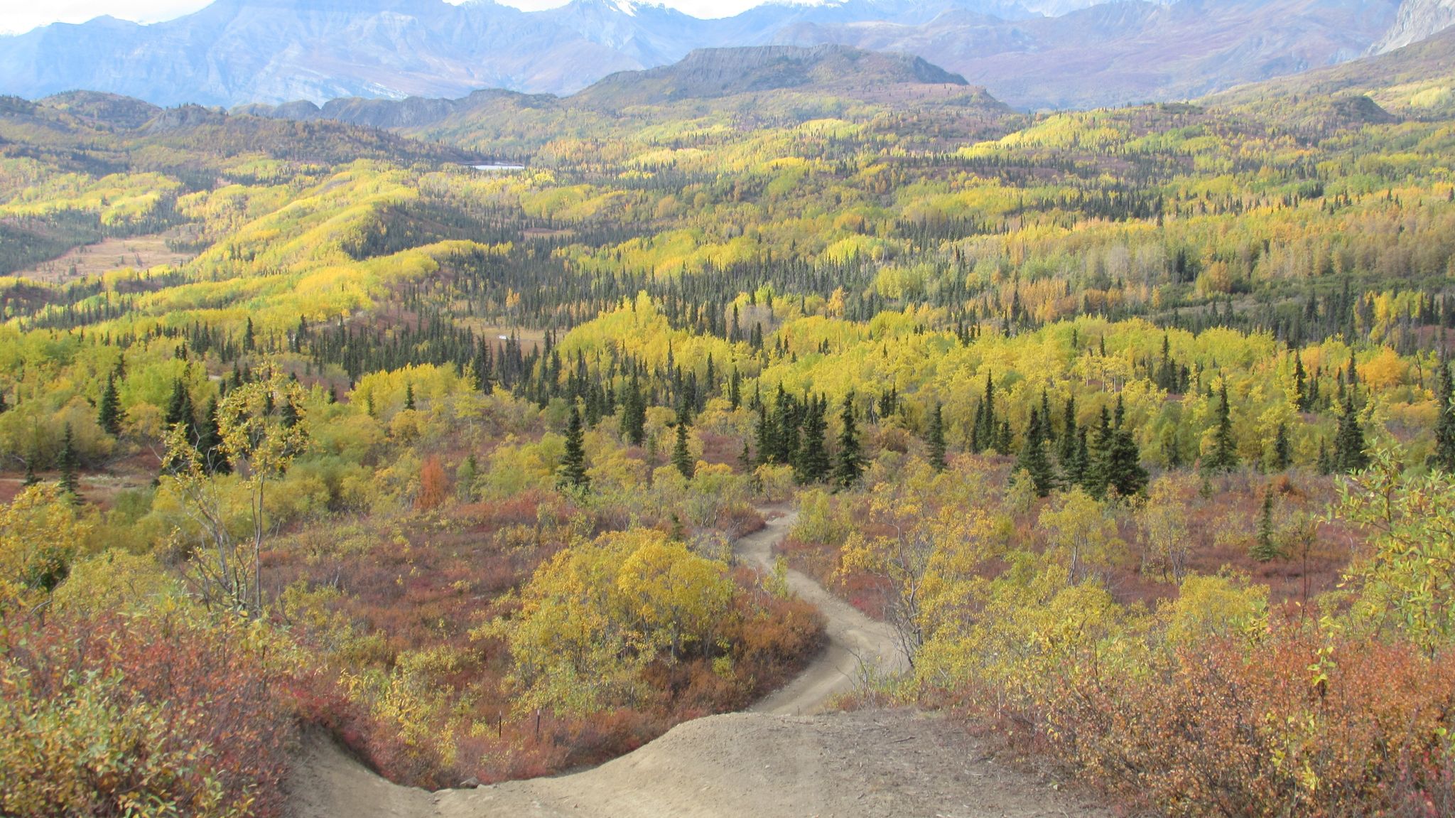 Fall on Purinton Creek Trail